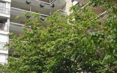 Туры в отель Les Palatines - Residence Туры в отель Les Palatines - Residence