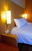 Туры в отель Ibis Grenoble Gare Туры в отель Ibis Grenoble Gare
