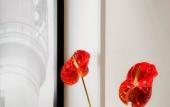 Туры в отель Novotel La Rochelle Centre Туры в отель Novotel La Rochelle Centre