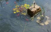 Туры в отель B&B HOTEL Niort Sud Venise Verte Туры в отель B&B HOTEL Niort Sud Venise Verte