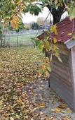 Туры в отель B&B HOTEL Niort Sud Venise Verte Туры в отель B&B HOTEL Niort Sud Venise Verte