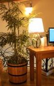 Туры в отель Vieja Cuba Hotel Туры в отель Vieja Cuba Hotel