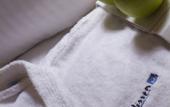 Туры в отель Van der Valk Hotel Spa Туры в отель Van der Valk Hotel Spa