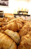Туры в отель Hotel San Rocco Туры в отель Hotel San Rocco