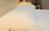 Туры в отель Hotel du Mail Туры в отель Hotel du Mail