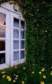 Туры в отель The Bala's Holiday Chalet Туры в отель The Bala's Holiday Chalet