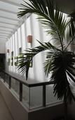 Туры в отель Hotel Playa Linda Туры в отель Hotel Playa Linda
