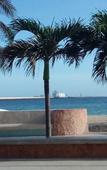 Туры в отель Hotel Playa Linda Туры в отель Hotel Playa Linda