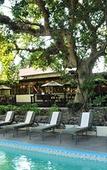 Туры в отель Cresta Riley's Туры в отель Cresta Riley's