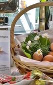 Туры в отель Best Western Falck Village Hotel Туры в отель Best Western Falck Village Hotel