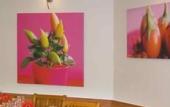 Туры в отель ibis Salon de Provence Sud Туры в отель ibis Salon de Provence Sud