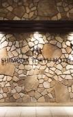 Туры в отель Shimoda Tokyu Hotel Туры в отель Shimoda Tokyu Hotel