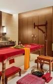 Туры в отель Hyatt Pune Туры в отель Hyatt Pune