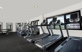 Туры в отель Hilton Darwin Туры в отель Hilton Darwin