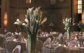 Туры в отель Shangri-La Hotel Hohhot Туры в отель Shangri-La Hotel Hohhot