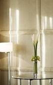 Туры в отель The St.Regis Tianjin Туры в отель The St.Regis Tianjin