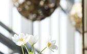 Туры в отель The St.Regis Tianjin Туры в отель The St.Regis Tianjin