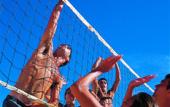 Туры в отель Insotel Club Maryland Туры в отель Insotel Club Maryland
