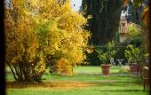 Туры в отель Ape Rosa Relais Туры в отель Ape Rosa Relais