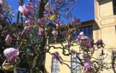 Туры в отель Ape Rosa Relais Туры в отель Ape Rosa Relais