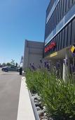 Туры в отель Ramada Suites by Wyndham Christchurch City Туры в отель Ramada Suites by Wyndham Christchurch City