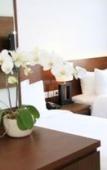 Туры в отель d’primahotel Tangerang(EX:Allium Tangerang Hotel) Туры в отель d’primahotel Tangerang(EX:Allium Tangerang Hotel)