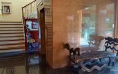 Туры в отель NYC Manhattan Suites Туры в отель NYC Manhattan Suites