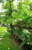 Туры в отель Sabai@Kan Resort Туры в отель Sabai@Kan Resort