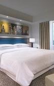 Туры в отель Sheraton Hyderabad Hotel Туры в отель Sheraton Hyderabad Hotel