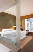 Туры в отель Sheraton Hyderabad Hotel Туры в отель Sheraton Hyderabad Hotel