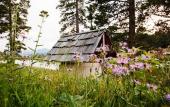 Туры в отель Dao House Туры в отель Dao House