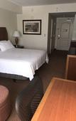 Туры в отель Hilton Garden Inn Ithaca Туры в отель Hilton Garden Inn Ithaca