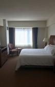 Туры в отель Hilton Garden Inn Ithaca Туры в отель Hilton Garden Inn Ithaca