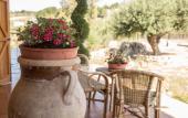 Туры в отель Villa Diana Туры в отель Villa Diana