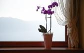 Туры в отель Hotel Paradiso Como Туры в отель Hotel Paradiso Como