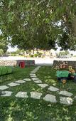 Туры в отель Artemisia Resort Туры в отель Artemisia Resort