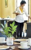 Туры в отель Artemisia Resort Туры в отель Artemisia Resort