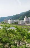 Туры в отель Gero Onsen Yamagataya Туры в отель Gero Onsen Yamagataya