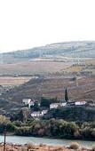 Туры в отель Quinta de Casaldronho Wine Hotel Туры в отель Quinta de Casaldronho Wine Hotel