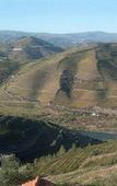 Туры в отель Quinta de Casaldronho Wine Hotel Туры в отель Quinta de Casaldronho Wine Hotel