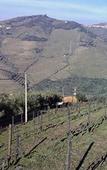 Туры в отель Quinta de Casaldronho Wine Hotel Туры в отель Quinta de Casaldronho Wine Hotel