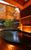 Туры в отель Nishimuraya Hotel Shogetsutei Туры в отель Nishimuraya Hotel Shogetsutei