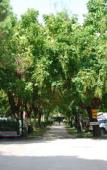Туры в отель Camping Serenissima Туры в отель Camping Serenissima