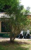 Туры в отель Camping Serenissima Туры в отель Camping Serenissima