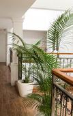 Туры в отель Belllo Hotel JB Central Туры в отель Belllo Hotel JB Central