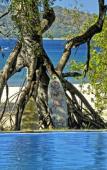 Туры в отель Ocho Artisan Bungalows - Adults only Туры в отель Ocho Artisan Bungalows - Adults only