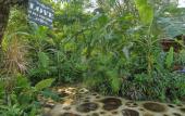 Туры в отель Ocho Artisan Bungalows - Adults only Туры в отель Ocho Artisan Bungalows - Adults only