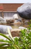 Туры в отель Ryukyu Onsen Senagajima Hotel Туры в отель Ryukyu Onsen Senagajima Hotel