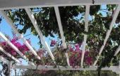 Туры в отель Milos Bay Suites Туры в отель Milos Bay Suites