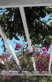 Туры в отель Milos Bay Suites Туры в отель Milos Bay Suites